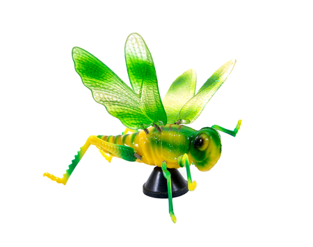 Green grasshopper magnet plastic toy isolated on white backgroundの写真素材