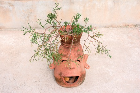 Head of barbarian pot decorative in the park with plantsの写真素材