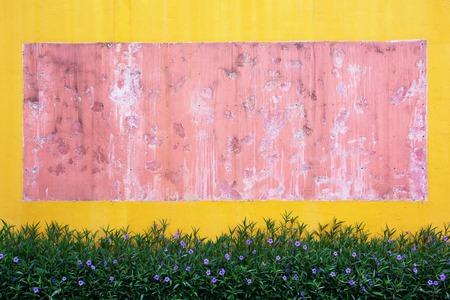 Outdoor concrete wall when take off picture frame texture background with flowers plants underの写真素材
