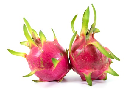 Dragon fruit isolated on white background.Two fresh dragon fruit isolatedの写真素材