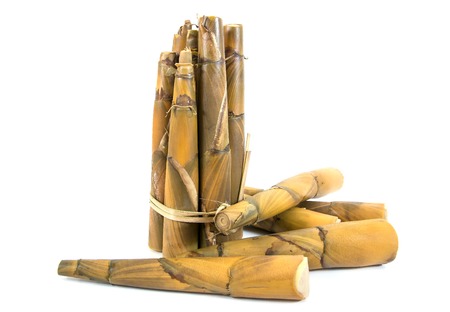 Bamboo shoots boiled isolated on white backgroundの写真素材