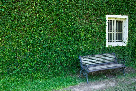 Old white window with bench at the corner and coatbuttons plant wall texture backgroundの写真素材