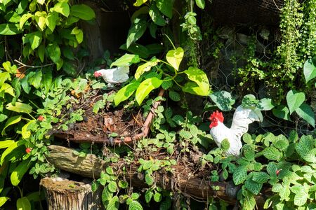 Decoration chicken in the garden background. Decorative cock and  hen in ornamental garden