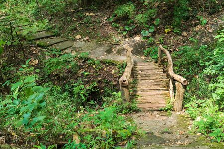 Natural log wood bridge in the forest background. Timber nature wood bridge over stream in the...