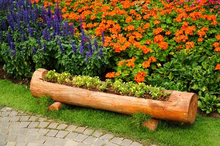 Long wood log flower pot with flowers in the garden background. Long wooden timber flower pot drill with stand and flowers decoration in ornamental gardenの写真素材
