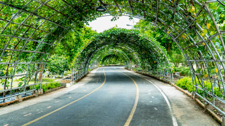 Side wood dog stand on lawn background. Wooden dog made from timber standing on grass lawn isolatedの写真素材