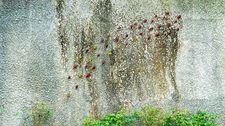 Fake insect decoration at wall in the park background. Walking row of fake colorful insect...