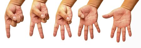 Counting hands 1 to 5 isolated on white backgroundの写真素材
