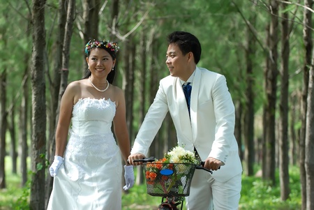 Bride and groom at the weddingの写真素材