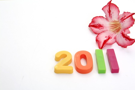 new year 2011 on white backgroundの写真素材