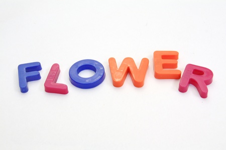 Colorful alphabet blocks. FLOWERS over white backgroundの写真素材