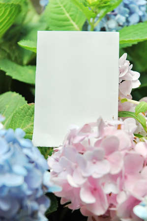 Paper blank with flowersの写真素材
