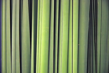 Texture Trunkの写真素材