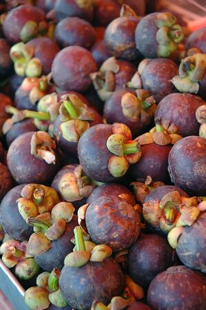 Mangosteenの写真素材