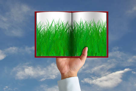 Green grass in book and wooden sign on blue skyの写真素材