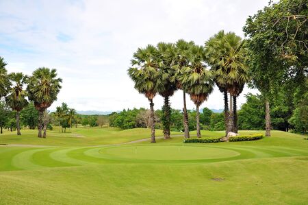 Landscape of golf field on green grassの写真素材