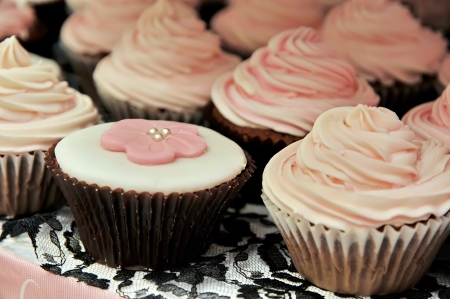 Colorful Cup Cake / Sweet snacksの写真素材