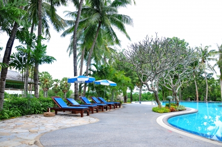 Beach chairs side swimming poolの写真素材