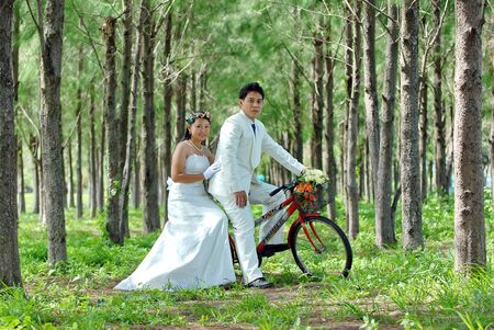 A portrait of the beautiful Couple in wedding dressの写真素材