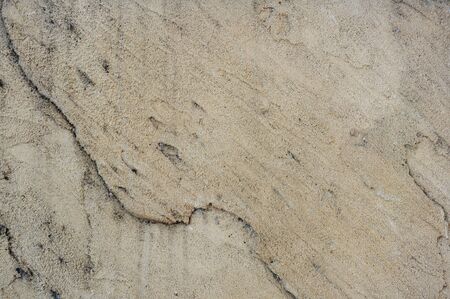 Background from high detailed fragment stone wall