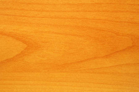 Wood texture for the backgroundの写真素材