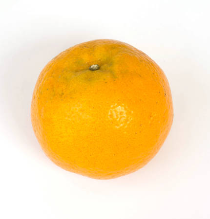 Tangerine, white backgroundの写真素材