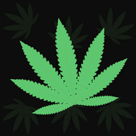 Cannabis leaves, a medicinal plant Unlimited expandable vector files.のイラスト素材