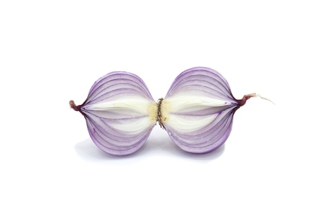 Onion on white backgroundの写真素材