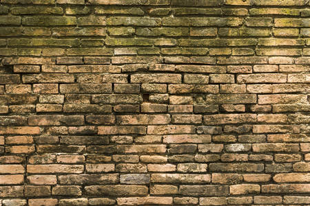 brick wallの写真素材