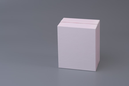 Mock up white box on gray background