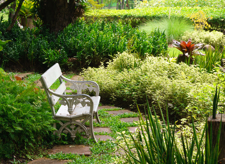 White bench besieges with plants in public park (Background)の写真素材