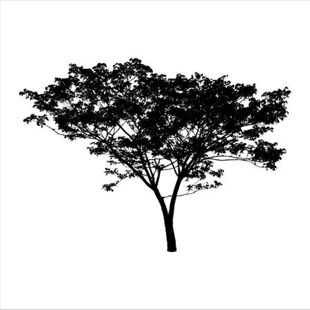 Silhouette of Tree isolated on white backgroundのイラスト素材