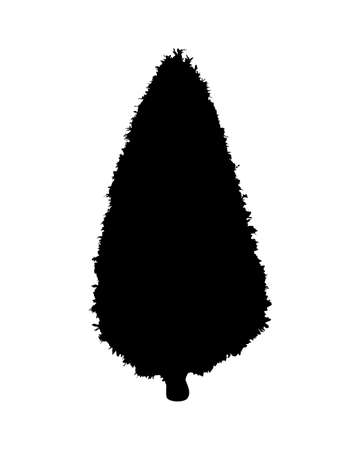 Silhouette of Round shaped tree isolated on white backgroundのイラスト素材