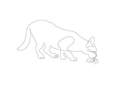 Continuous line drawing of Stray cat drinking water from a floorのイラスト素材