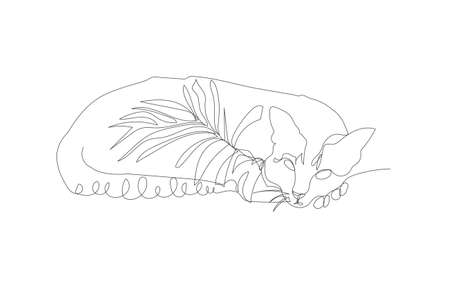 Continuous line drawing of A cat sleeps on the floor, vector illustrationのイラスト素材