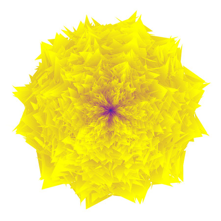 Top view of a Yellow flower on white background. vector illustrationのイラスト素材