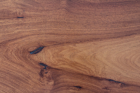 Texture of nature wood background closeup for design with copy space for text or image.の写真素材