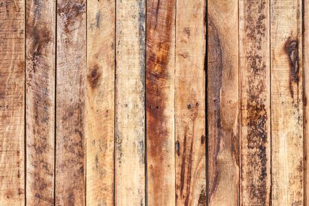 Wood texture or wood background. Wood motifs that occurs naturally. Closeup natural wood detail for interior or exterior design with copy space for text or image.の写真素材