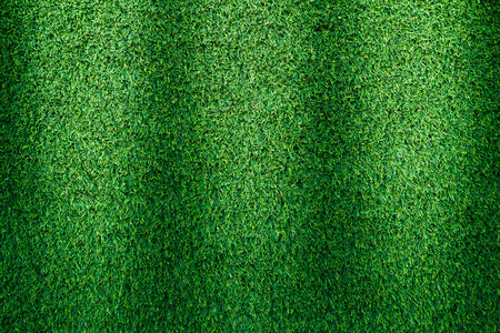 Artificial green grass texture for golf course, soccer field or sports background concept design.の写真素材