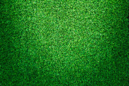 Artificial green grass texture for golf course. soccer field or sports background concept design.の写真素材