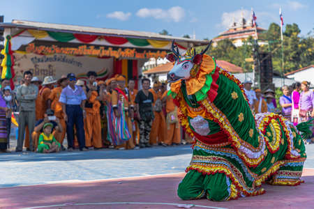 Thoet Thai, Chiang Rai - THAILAND, November 27, 2019 : Group of Shan or Tai Yai (ethnic group living in parts of Myanmar and Thailand) in tribal dress do native dancing in Shan New Year celebrations.のeditorial素材
