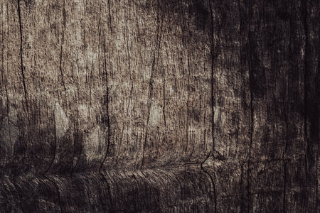 Old plank wood texture background.の写真素材