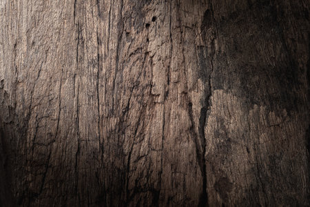 Old wood texture background. Floor surface. Dark rustic style.の写真素材