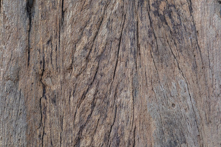 Old wood texture background. Floor surface. Floor surface. Floor surfaceの写真素材