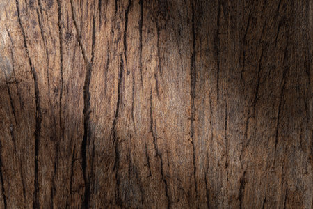 Old grunge dark textured wooden background , The surface of the old brown wood texture , top view teak wood panelingの写真素材