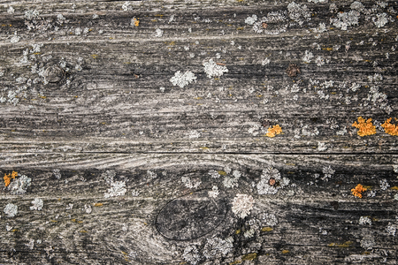old cracked put together with boards with mossの写真素材