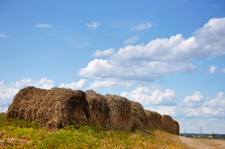 haystacks in the field against the blue cloudy skyの写真素材