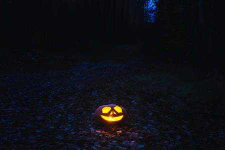 Lying in the woods pumpkin with light insideの写真素材
