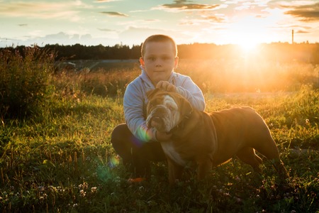 Boy next to the English bulldog and a sunset in the backgroundの写真素材