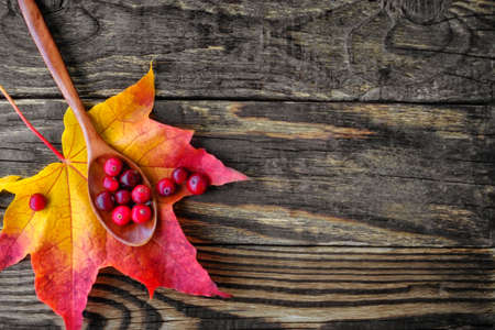 berries of cranberries and a wooden spoon on a maple leafの写真素材